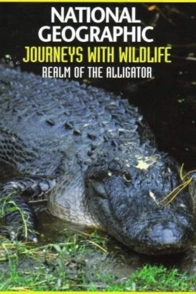 Realm of the Alligator