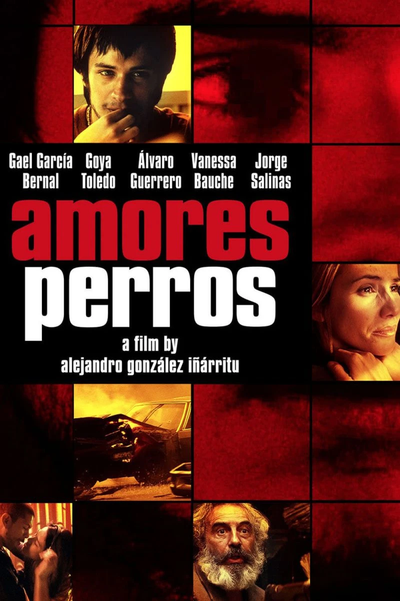Amores Perros Póster