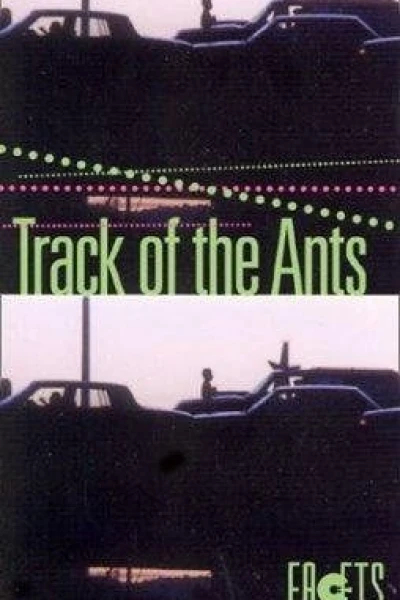 El camino de las hormigas
